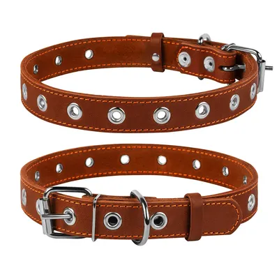 Нашийник "CoLLaR" без, коричневий