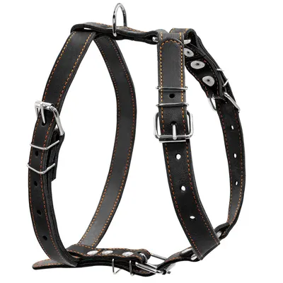 Шлея "CoLLaR" одинарна для середніх собак, чорний