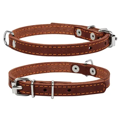 Нашийник "CoLLaR" одинарний, коричневий