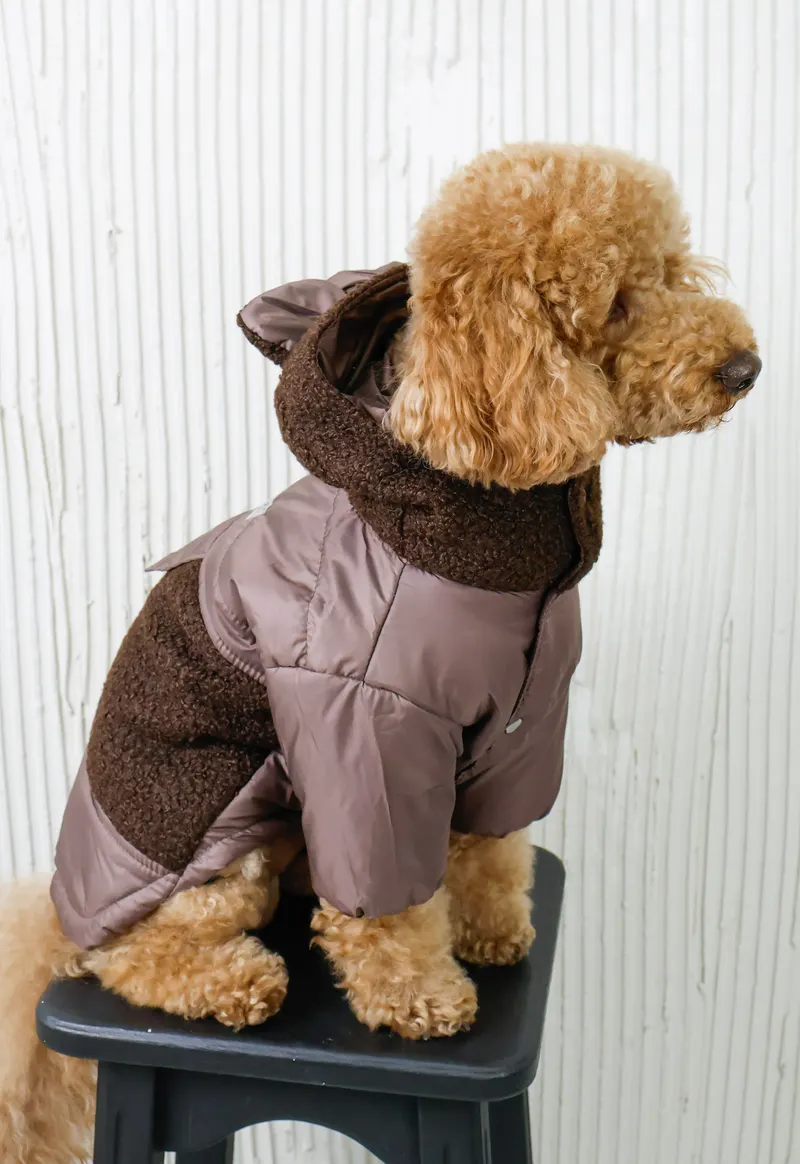 Куртка Teddy шоколад