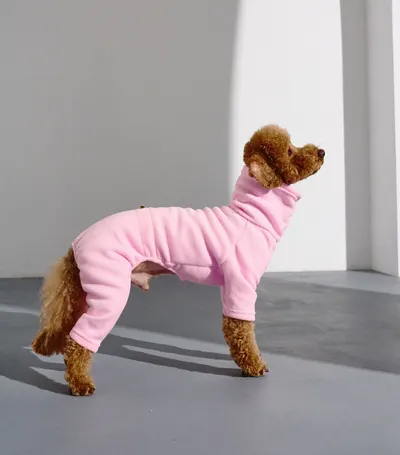 Костюм флiс Polar рожевий