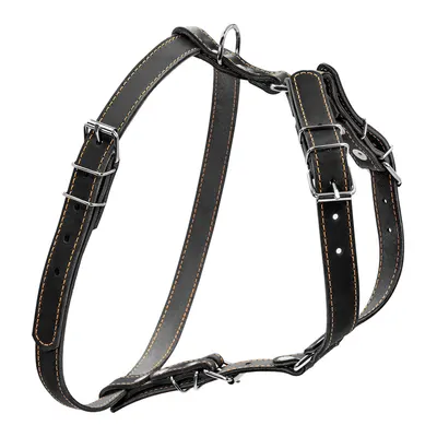 Шлея "CoLLaR" одинарна для малих та середніх собак, чорний
