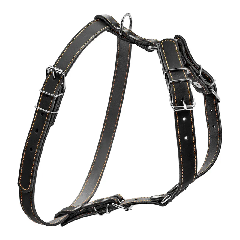 Шлея "CoLLaR" одинарна для малих та середніх собак, чорний