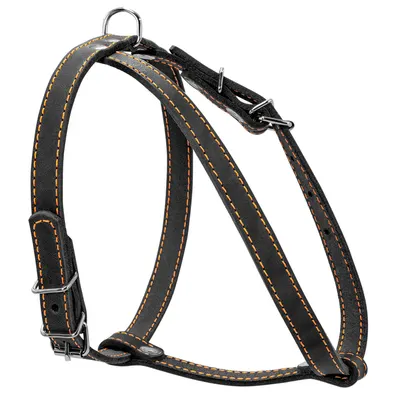 Шлея "CoLLaR" одинарна для малих порід собак, чорний