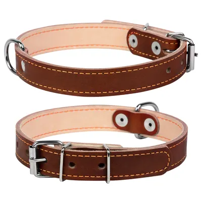 Нашийник "CoLLaR подвійний, коричневий