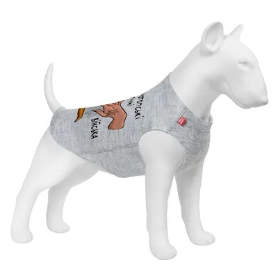 Майка для собак WAUDOG Clothes малюнок "Конотопські магічні війська"