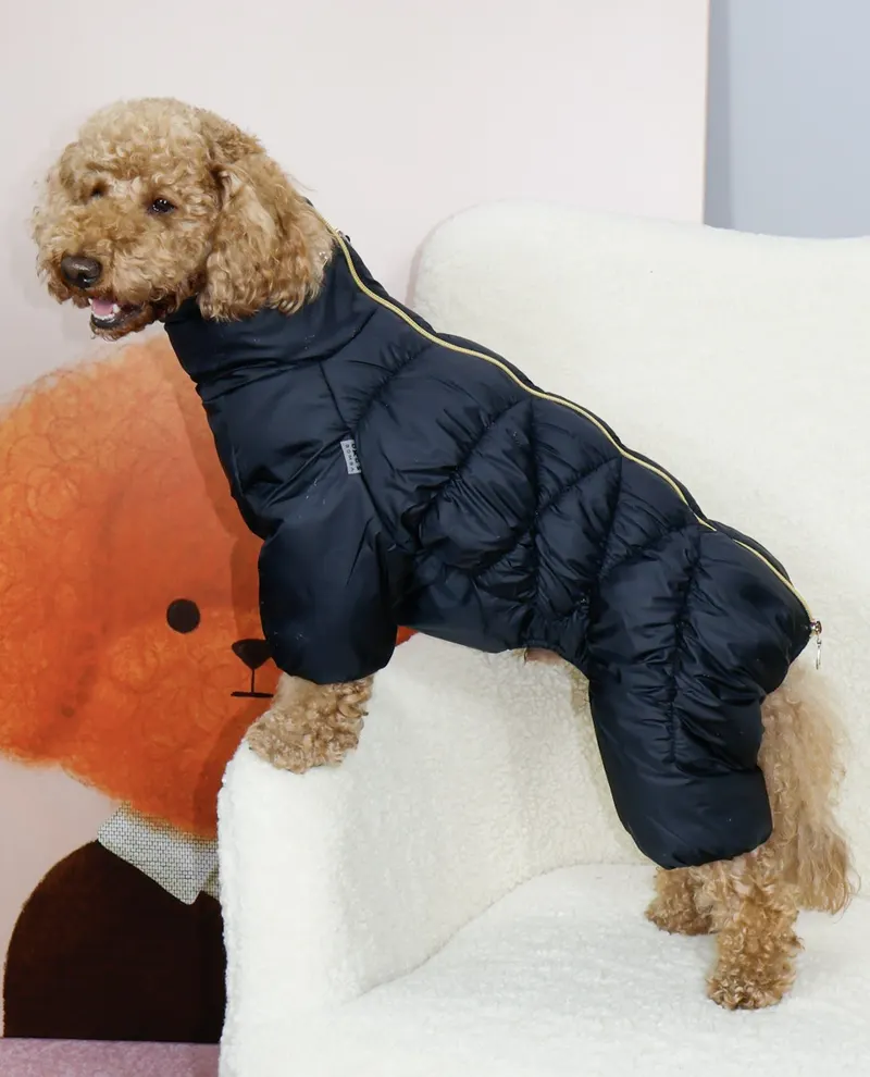 Зимовий комбінезон Comfort NEW чорний