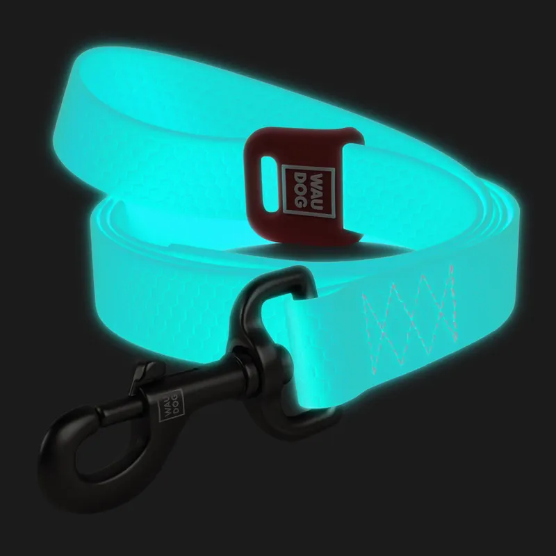Повідець для собак водостійкий WAUDOG Waterproof, світиться в темряві, ментоловий