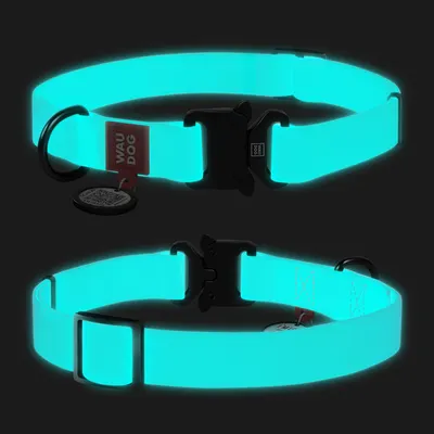 Нашийник для собак водостійкий WAUDOG Waterproof c QR паспортом, світонакоплювальний, металічна пряжка-фастекс, ментоловий