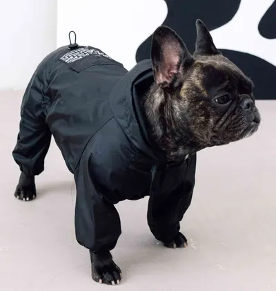 Дощовик кишеня чорний