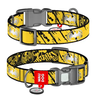 Нашийник для собак нейлоновий WAUDOG Nylon з QR паспортом, світловідбивний, малюнок "Бетмен Ескіз", пластиковий фастекс