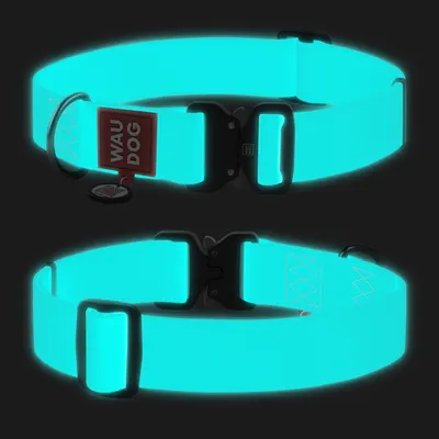 Нашийник для собак водостійкий WAUDOG Waterproof з QR-паспортом, світиться в темряві, металева пряжка-фастекс, ментоловий