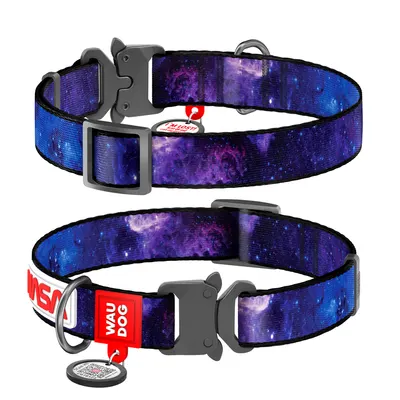 Нашийник для собак нейлоновий WAUDOG Nylon з QR паспортом, малюнок "NASA21", металева пряжка-фастекс