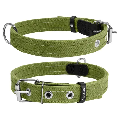 Нашийник для собак бавовняна тасьма CoLLaR Брезент подвійний, зелений
