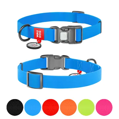 Нашийник для собак водостійкий WAUDOG Waterproof c QR паспортом, пластикова пряжка-фастекс, блакитний