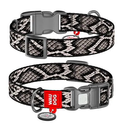 Нашийник для собак нейлоновий WAUDOG Nylon з QR адресником, малюнок "Змія", пластиковий фастекс