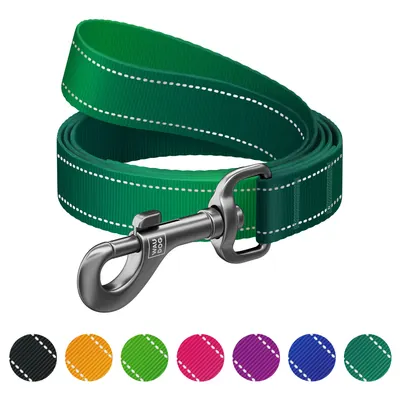 Повідець для собак нейлоновий WAUDOG Nylon Mono, світловідбивний, зелений