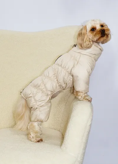 Зимовий комбінезон Comfort беж