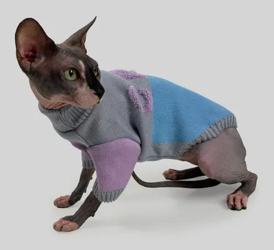Светр для котiв в'язаний CAT блакитно сірий