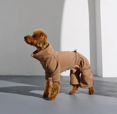 Костюм Party кемел