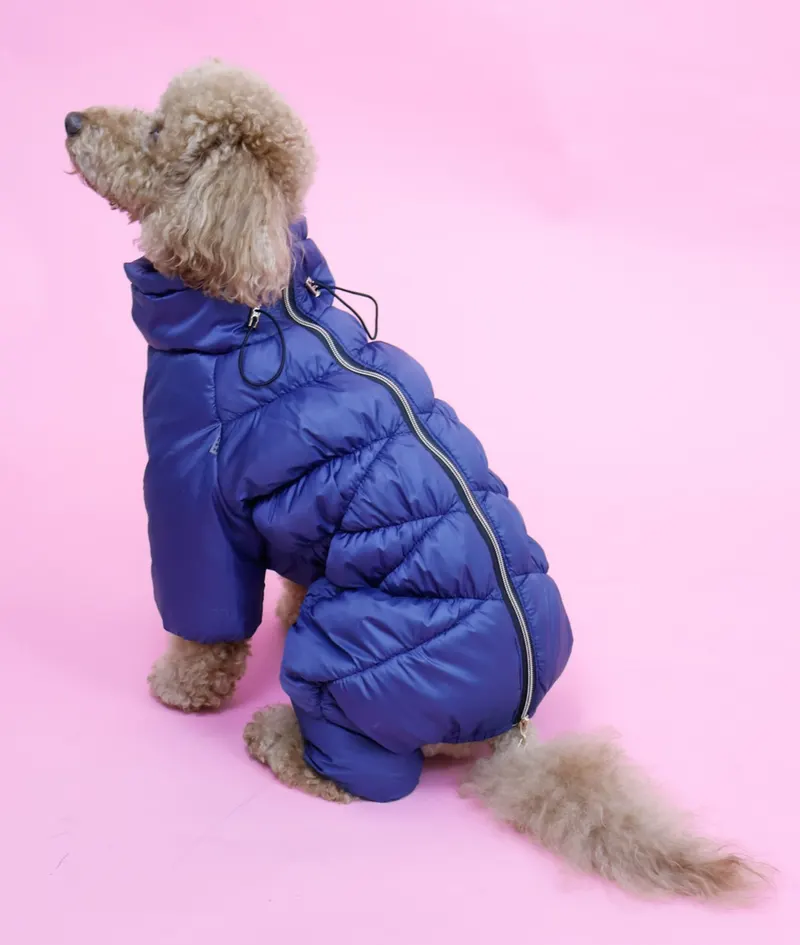 Зимовий комбінезон Comfort NEW синій
