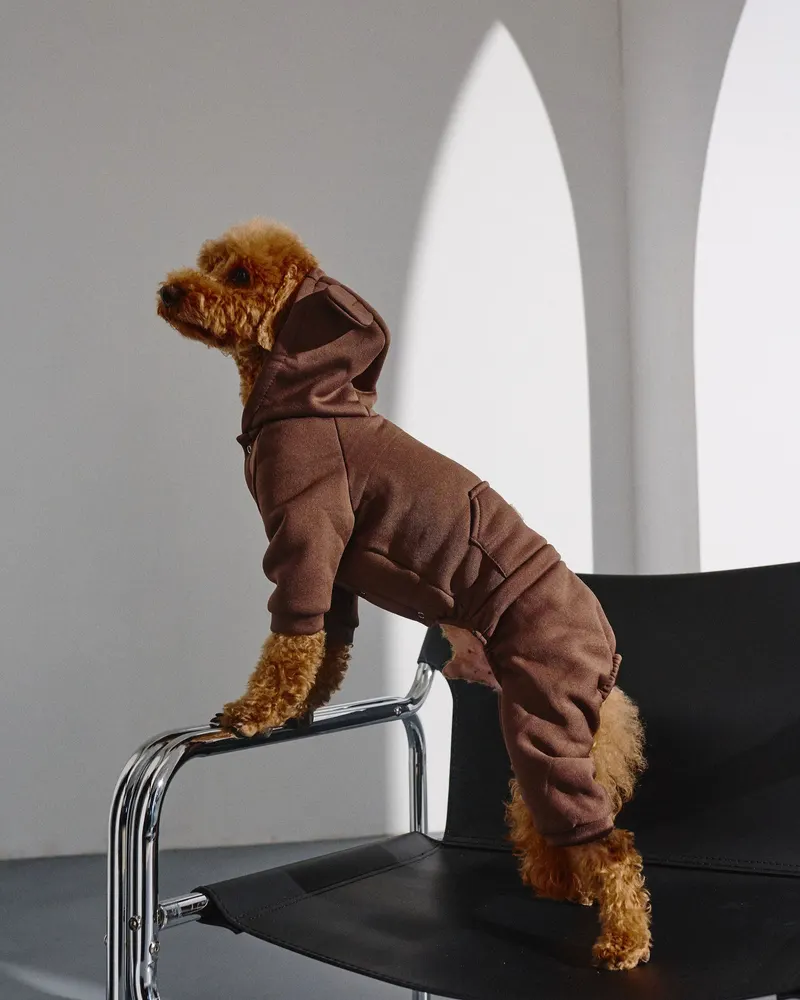 Костюм з кишенею шоколад