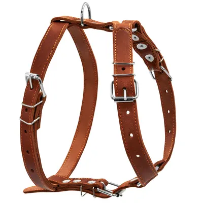 Шлея "CoLLaR" одинарна для середніх собак, коричневий