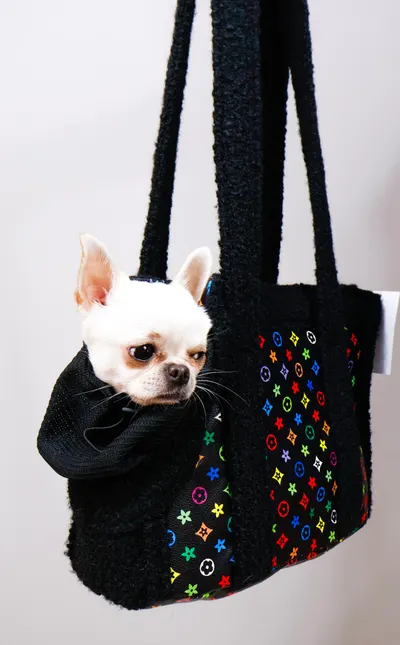 Сумка LV