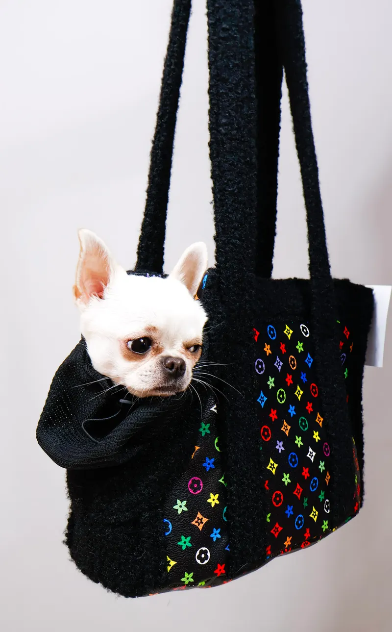 Сумка LV