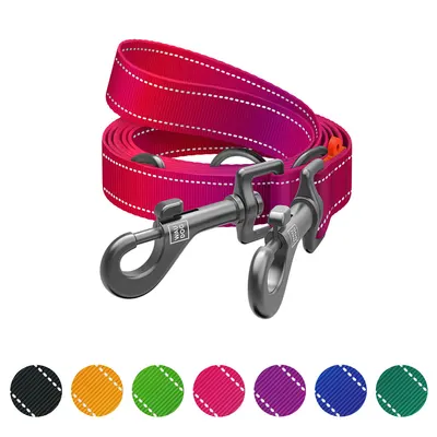 Повідець-перестібка для собак WAUDOG Nylon Mono, світловідбивний, рожевий