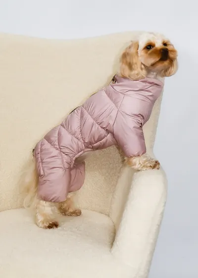 Зимовий комбінезон Comfort пудра