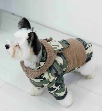 Куртка Teddy мілітарі