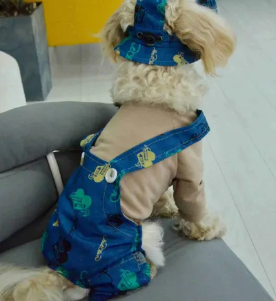 Костюм із лямками джинс серця