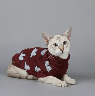 Светр для котiв в'язаний Мишки марсала